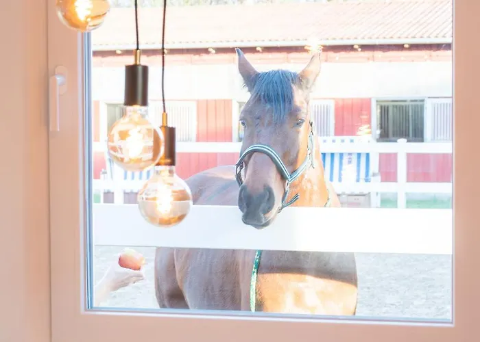 아파트 Reiterhof 볼텐하겐