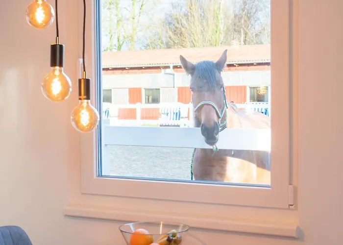 Reiterhof شقة بولتينهاجين